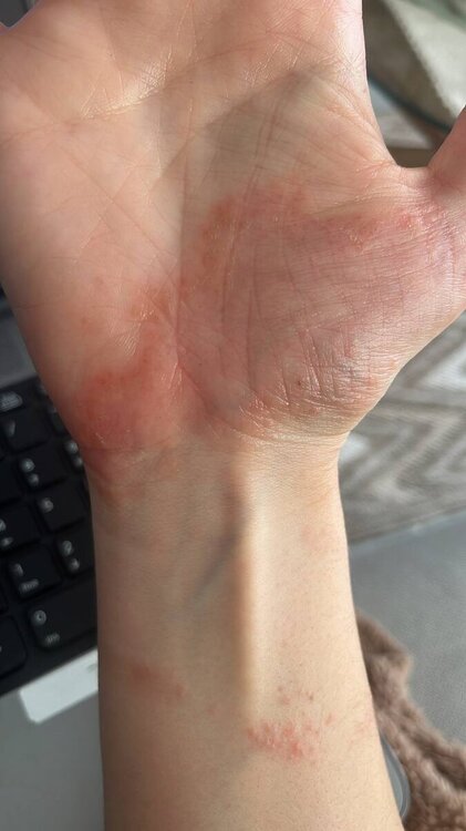 IMG_2313.thumb.jpeg.c901f0d004ab5b3a9b073eda08c9d661.jpeg
