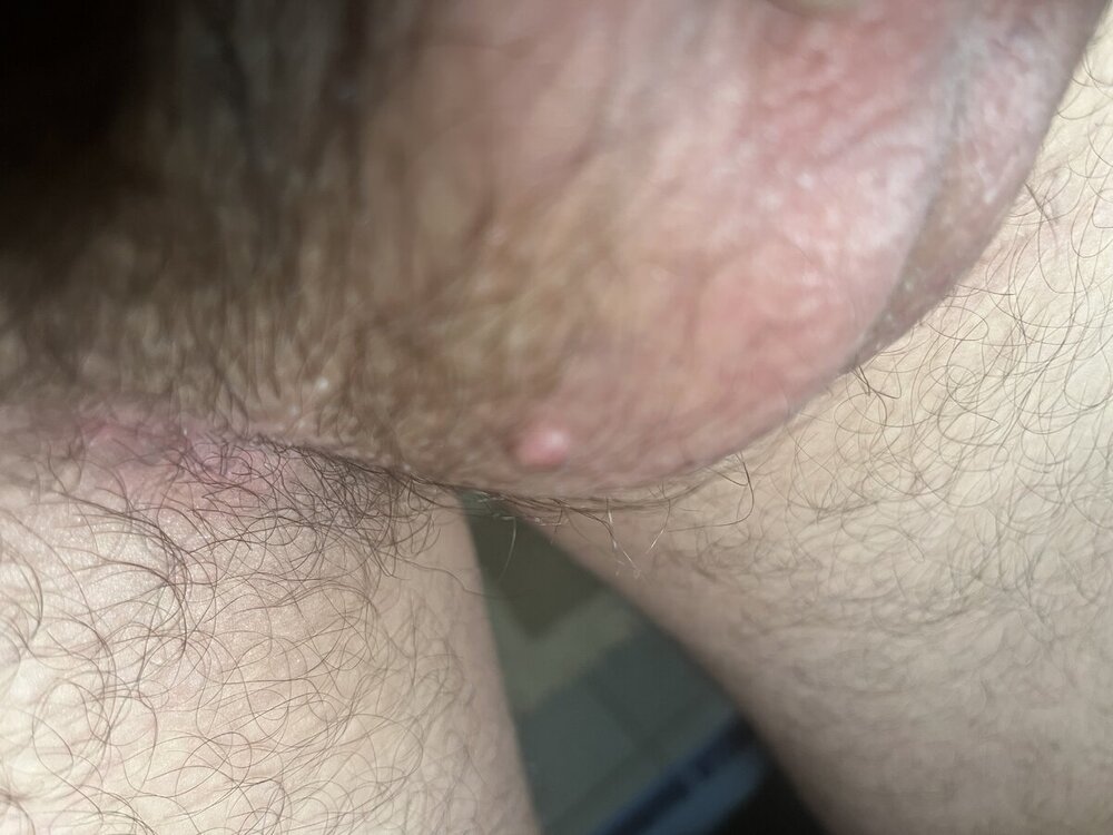 IMG_2352.jpeg