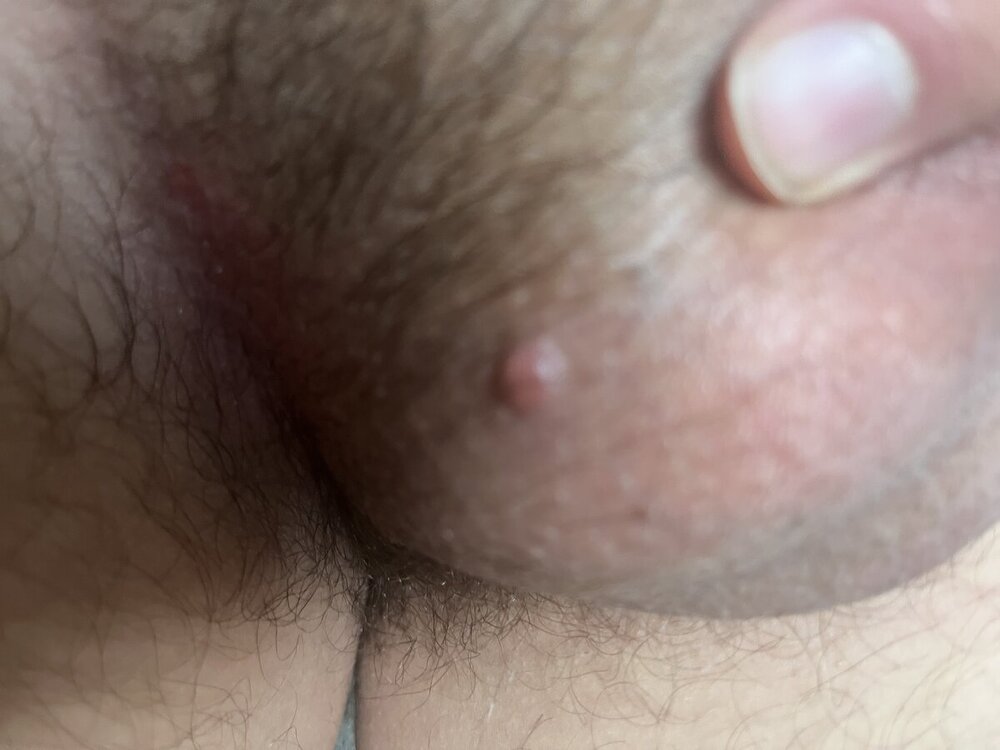 IMG_2353.jpeg