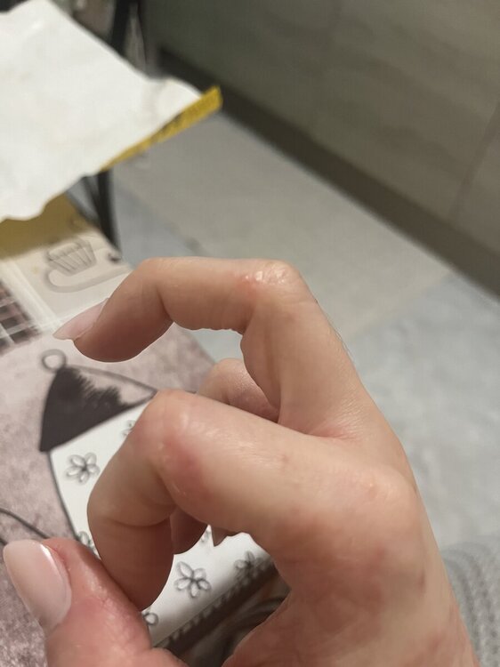 IMG_3036.thumb.jpeg.8f1e2852778b73ca63b930cb915c97ca.jpeg