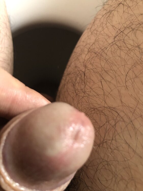 IMG_5533.jpeg