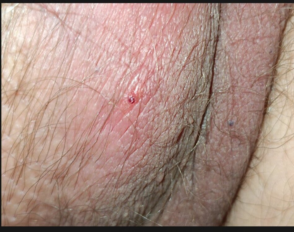 Screenshot_2024-04-05-11-54-43-882_com.android.chrome.jpg