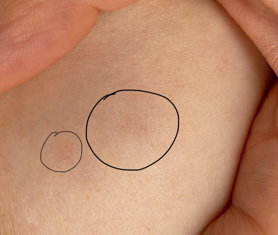 1.thumb.jpg.c3325ea68811433e35c08bbba49821b3.jpg