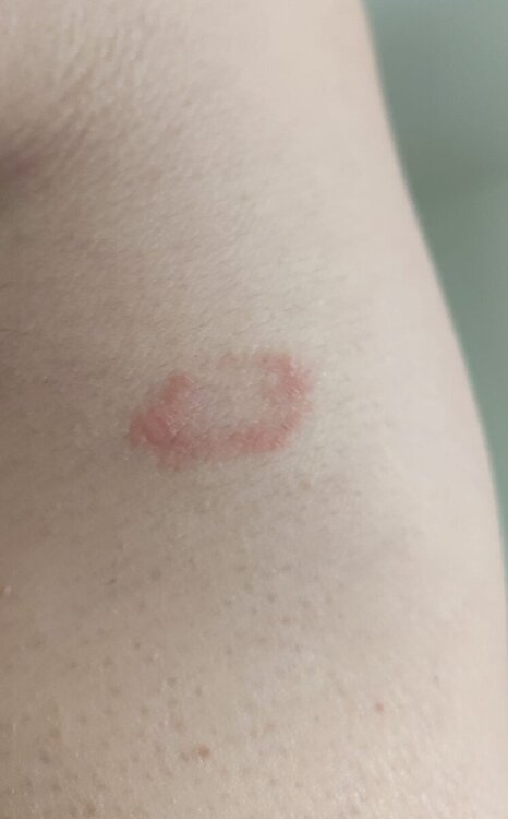 WhatsApp Image 2024-05-23 at 18.53.44.jpeg