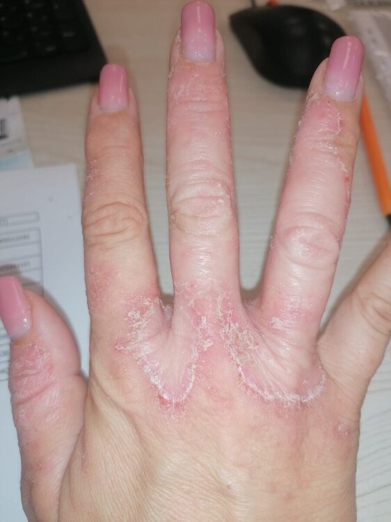 WhatsApp Image 2024-05-30 at 11.24.06.jpeg