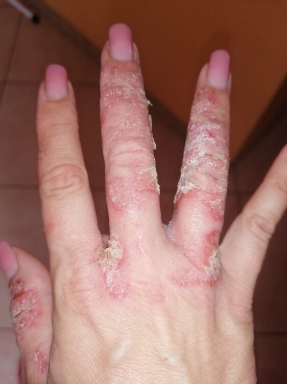 WhatsApp Image 2024-05-27 at 11.57.56.jpeg