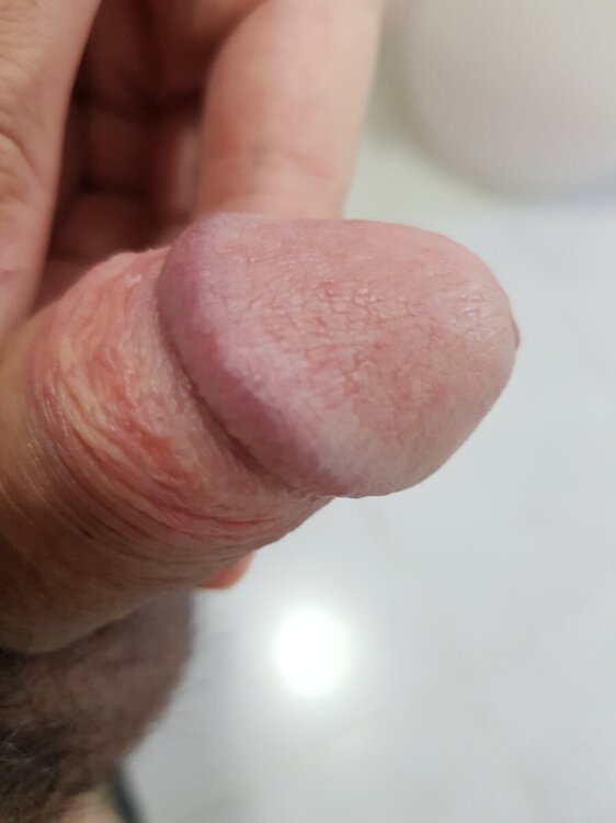 17159406531553236502584129783249.thumb.jpg.ed9fa9d665fa3d4d16e684a2921c60f8.jpg