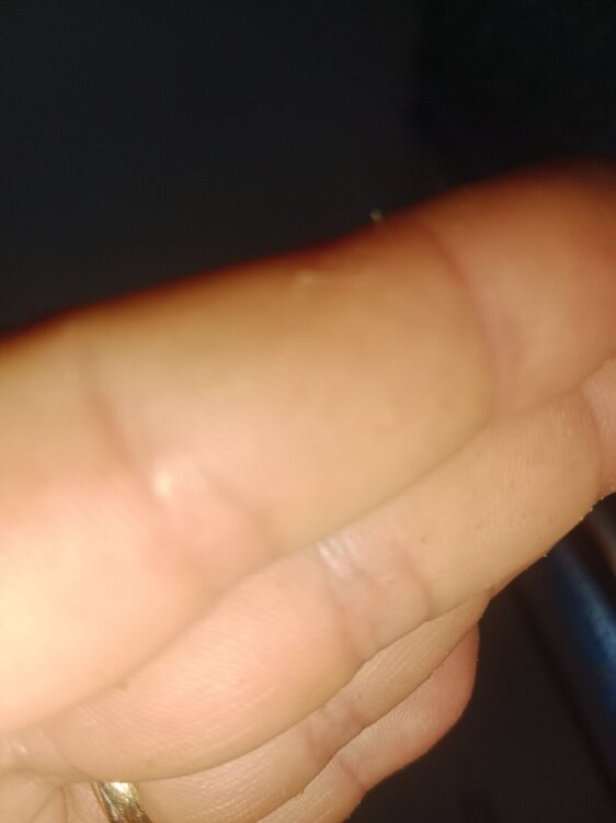 1716181526610684407647225263030.thumb.jpg.4424a8d7e615978a23ec78ac38fb146a.jpg