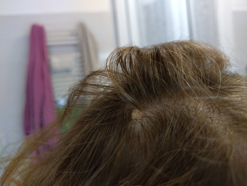 17165828332423079663316092833688.thumb.jpg.c735d63da1c3185281db55e6d5275446.jpg