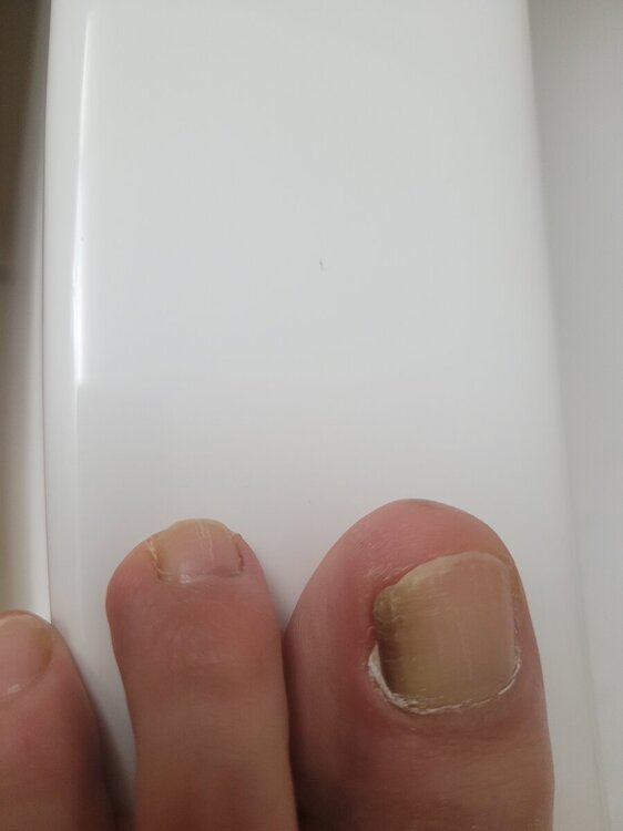 17171930598592627085075101807779.thumb.jpg.9280a2fdcc7d19002756511190307f84.jpg
