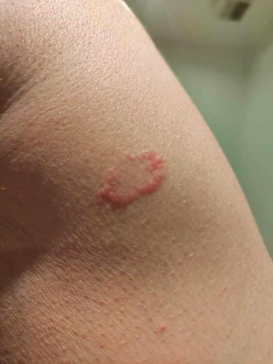 WhatsApp Image 2024-05-21 at 16.39.54.jpeg