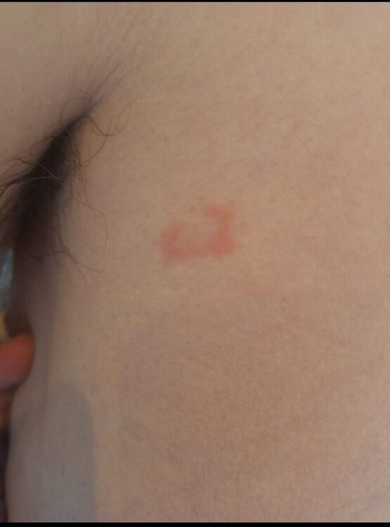 WhatsApp Image 2024-05-21 at 16.39.54 (1).jpeg