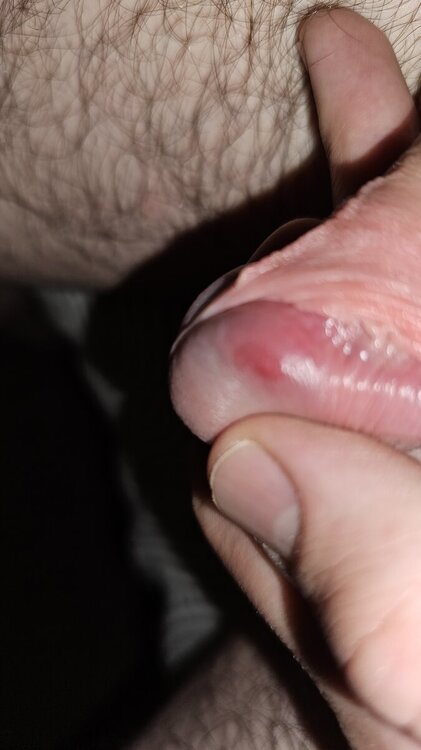 20240503_000948.thumb.jpg.30e88a0731bc658b36c64e9b47f0ff5c.jpg