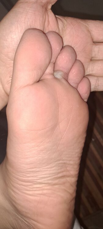 20240505_185052.jpg