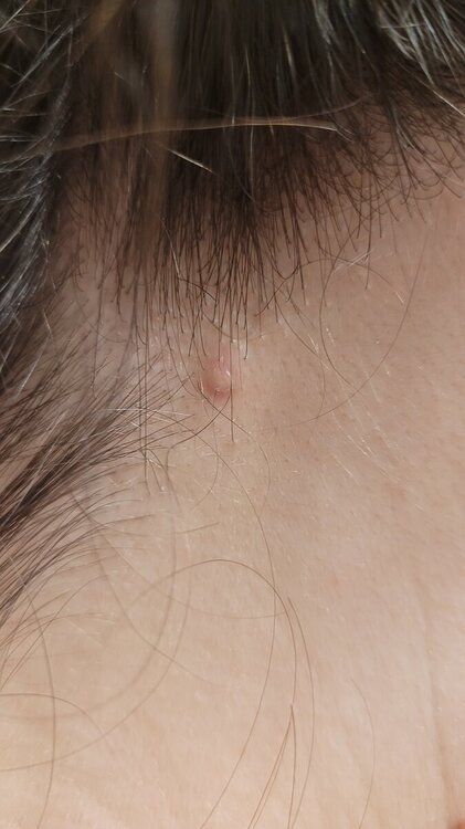 20240512_213031.jpg