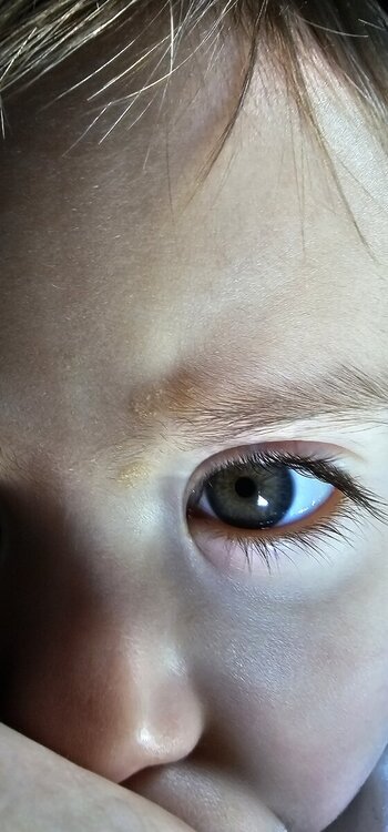 20240514_074818.jpg