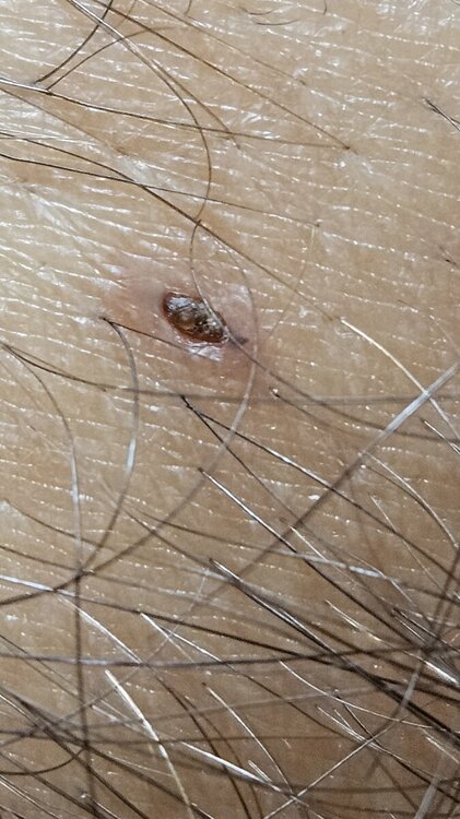20240516_085545.jpg