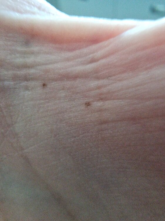 20240518_183204.jpg