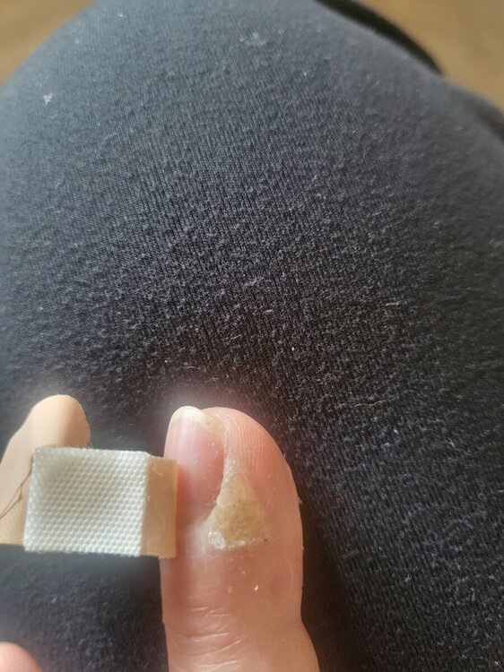 20240528_102927.thumb.jpg.31d073f785af3e5661b6719f505f07d7.jpg
