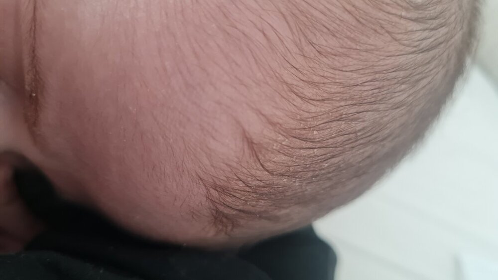 20240530_130313.jpg