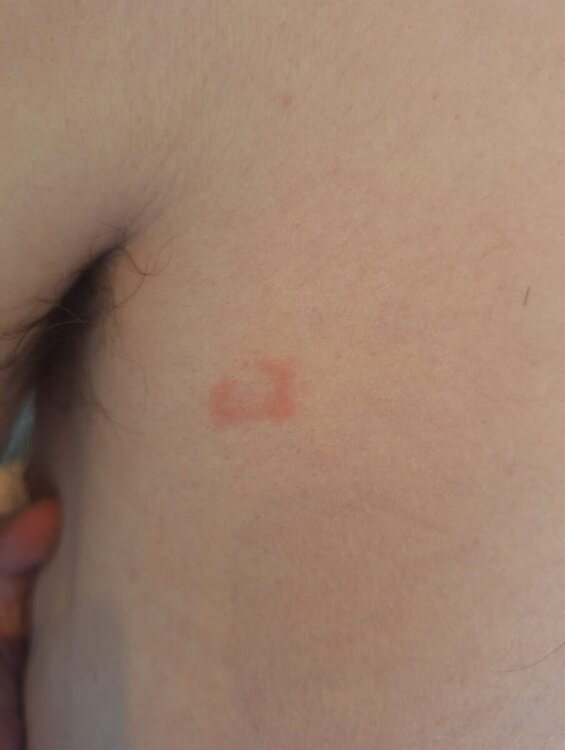 WhatsApp Image 2024-05-21 at 16.39.54 (2).jpeg