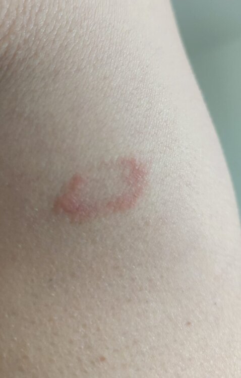 WhatsApp Image 2024-05-23 at 18.53.44 (1).jpeg