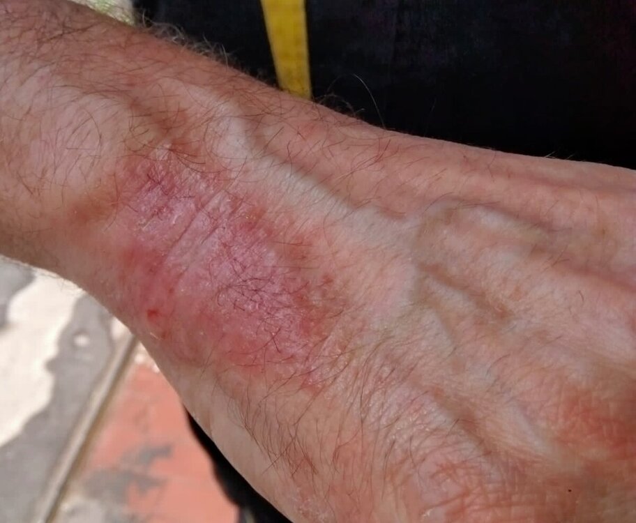 Foto1.jpg