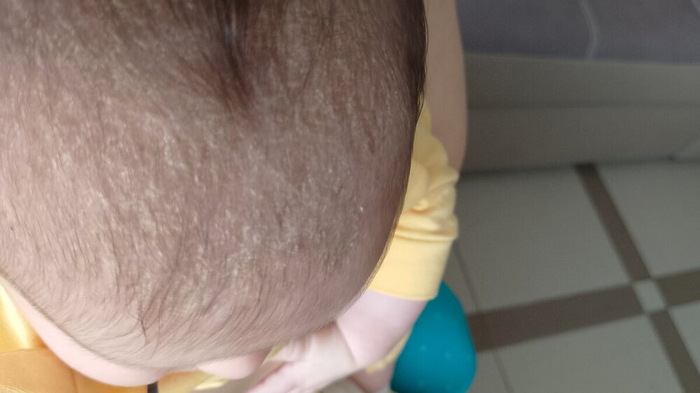 IMG-20240522-WA0007.jpeg