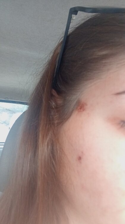 IMG-20240530-WA0115.jpeg