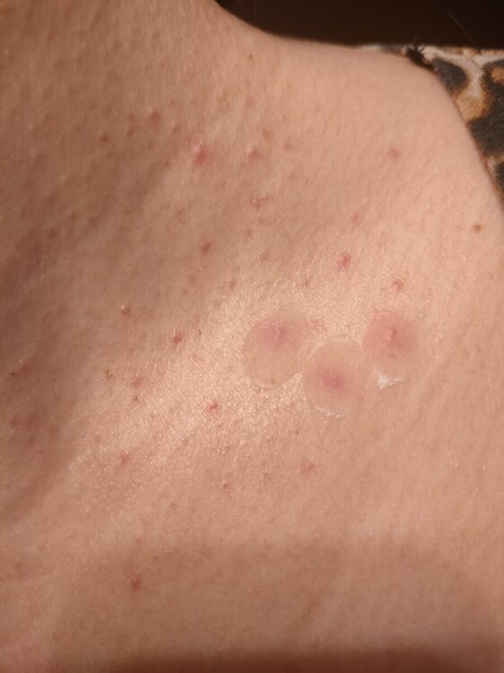 IMG20240530151725.jpg