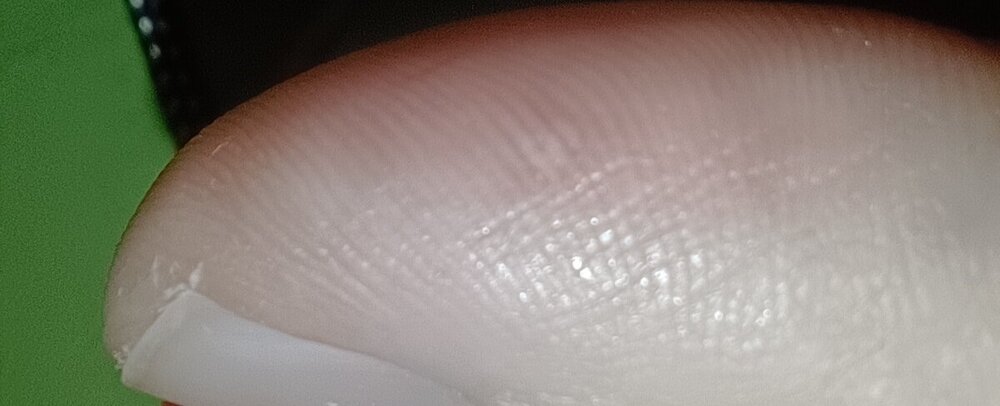 IMG_20240519_201053.jpg