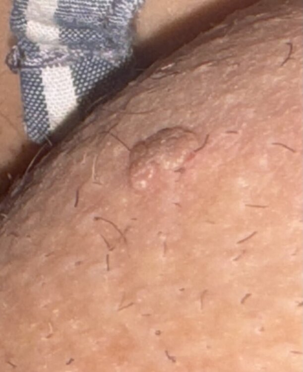 IMG_2216.jpg