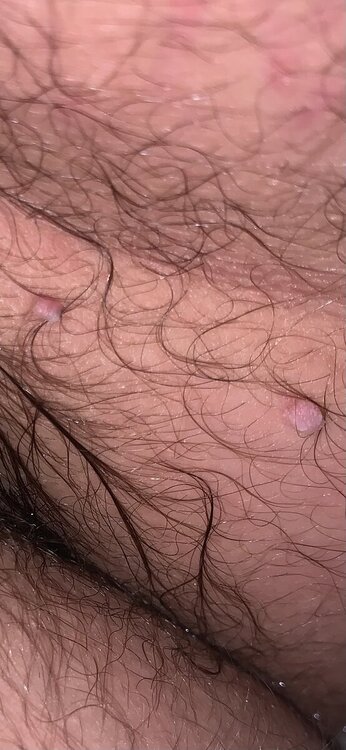 IMG_2558.jpeg