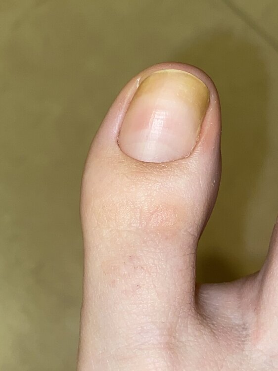 IMG_4045.thumb.jpeg.e268b817f99ca89d6728746840674754.jpeg