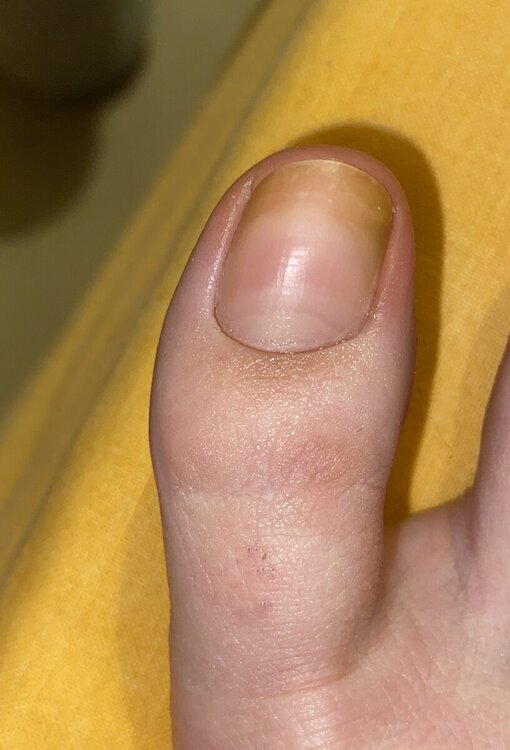 IMG_4054.thumb.jpeg.7407e6d7fa90d65e3a95fd896021c1a9.jpeg