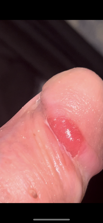 IMG_4609.thumb.png.388788a599c0bee97b1dfdb2078af59c.png