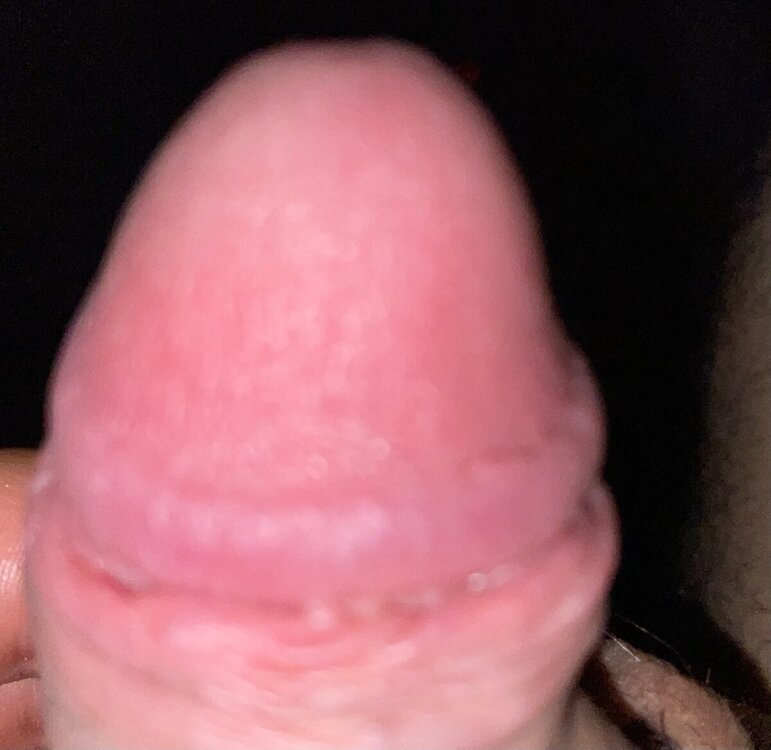 IMG_5804.jpeg