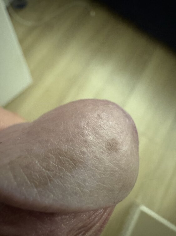 IMG_8822.jpeg