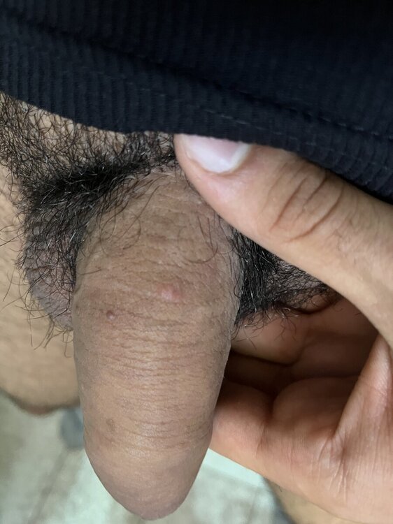 IMG_9239.jpeg