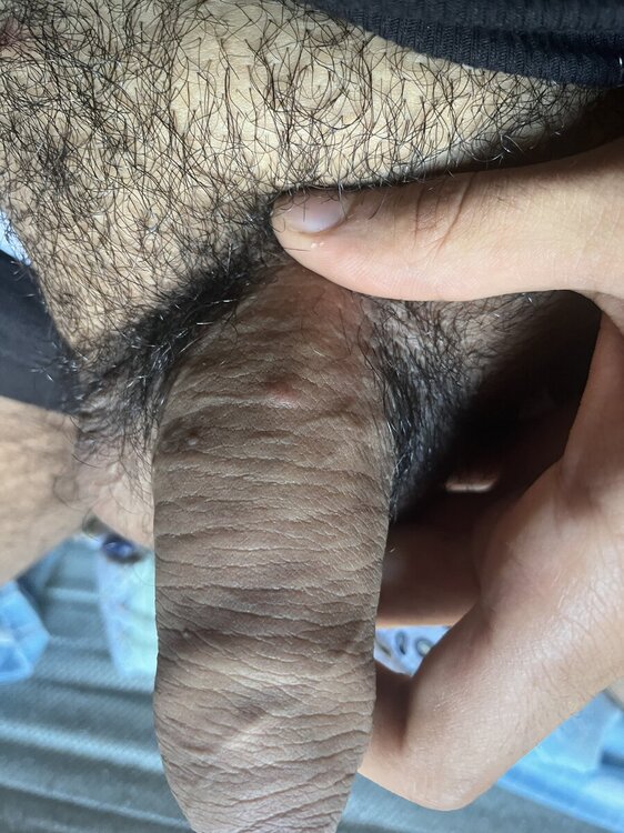 IMG_9241.jpeg