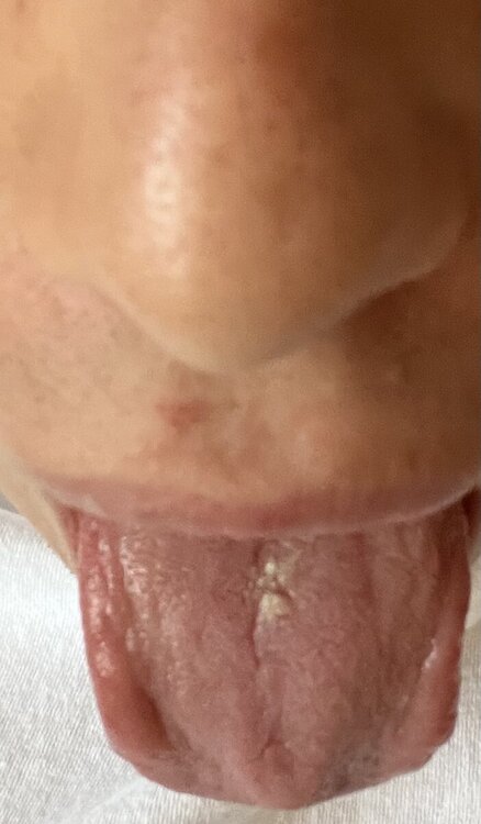 IMG_9563.jpeg