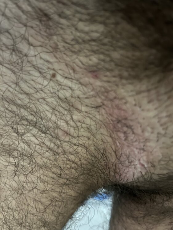 IMG_9647.jpeg