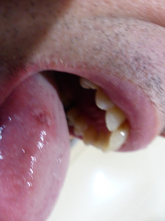 P1000457.JPG
