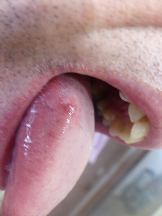 P1000459.JPG