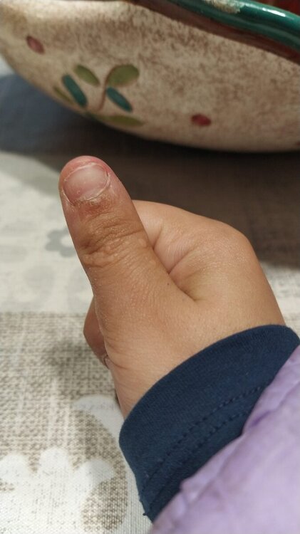 dff63f69-de56-4818-aa8f-f15c64b478c9.thumb.jpeg.0ea08d05d658f28f2be81b0631d66f4a.jpeg