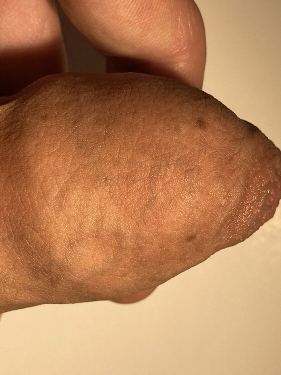 foto_5.jpg