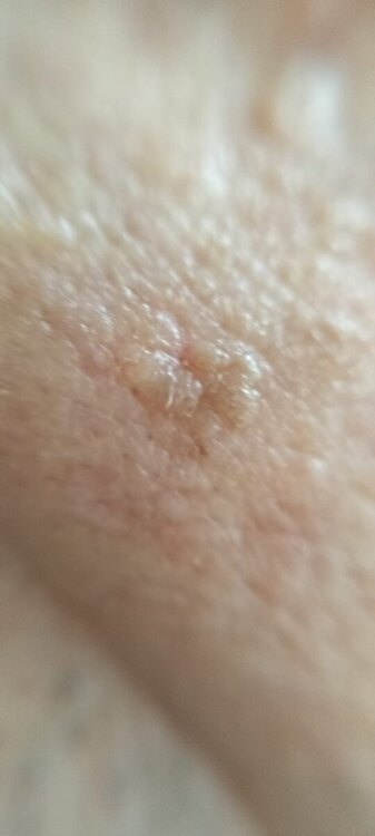 0c920278-d152-4c19-876d-9bc35249cb6c.jpeg