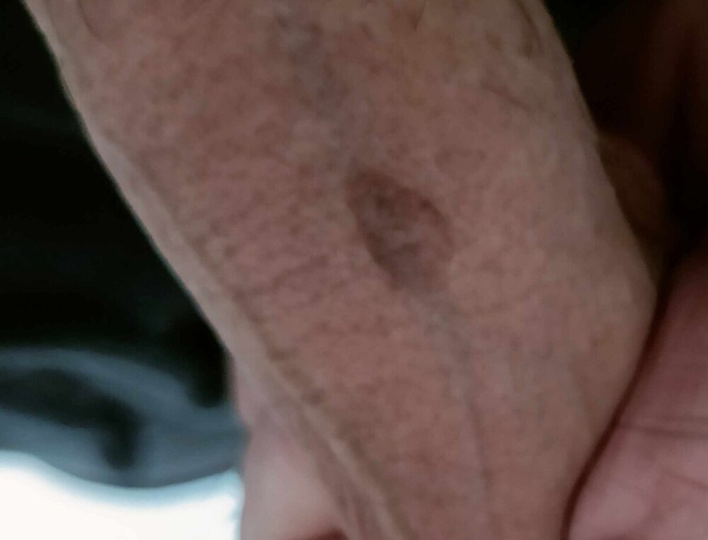 derma 2.jpg