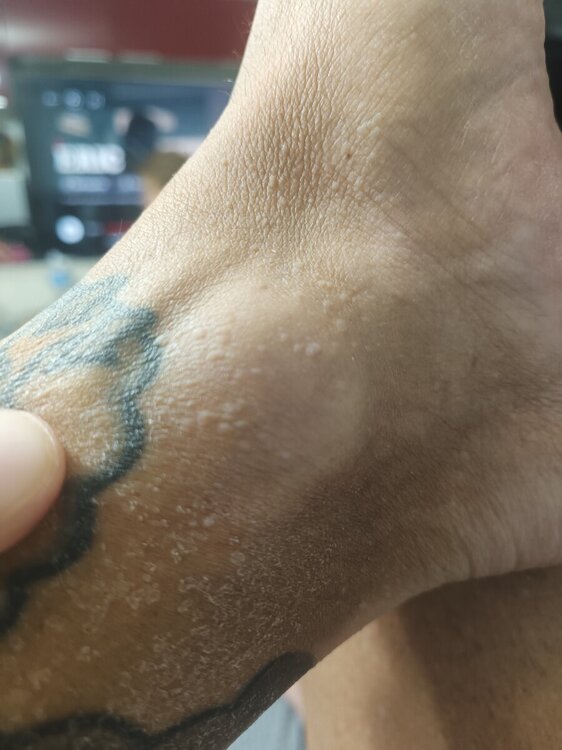 17179627564449185877042944375613.thumb.jpg.10b60600c36f5d98815684f134dddf3a.jpg