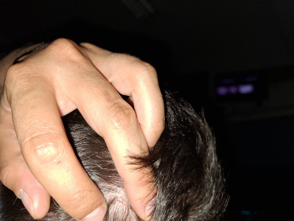 20240604_041818.thumb.jpg.8ae338b3d3e9b590574696f26f523ab9.jpg